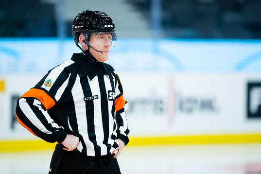 Domare Mikael Holm