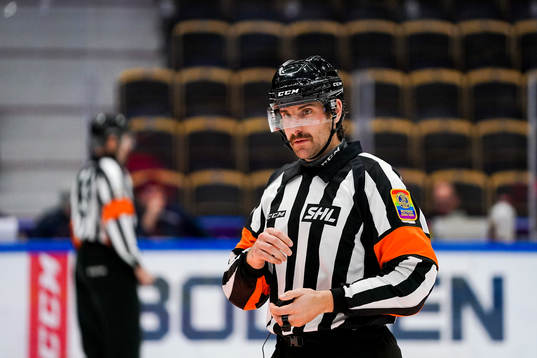 Domare Mikael Sjöqvist