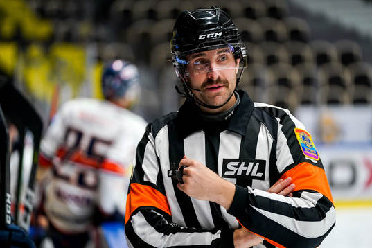 Domare Mikael Sjöqvist