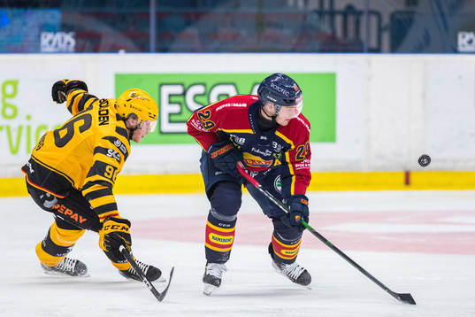Skellefteås Rickard Hugg och Djurgårdens Sebastian
