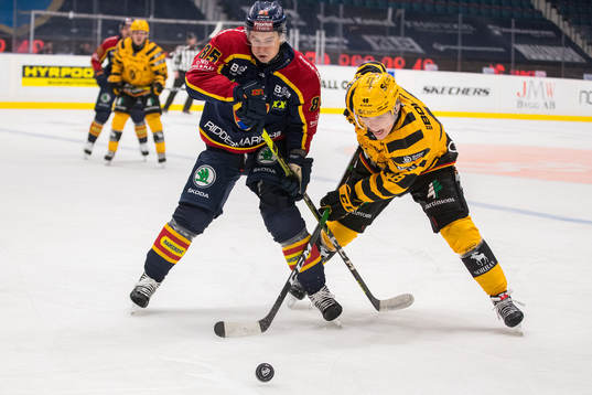 Djurgårdens Michael Haga och Skellefteås Jonatan Berggren