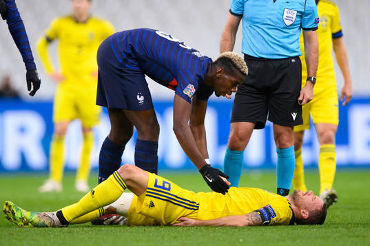 Paul Pogba of France and Marcus Berg of Sweden