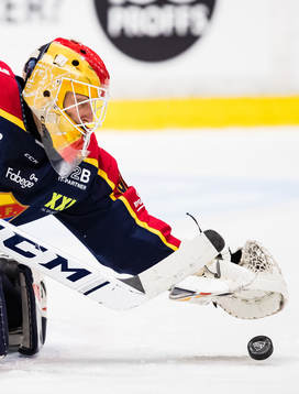 Djurgårdens målvakt Mantas Armalis