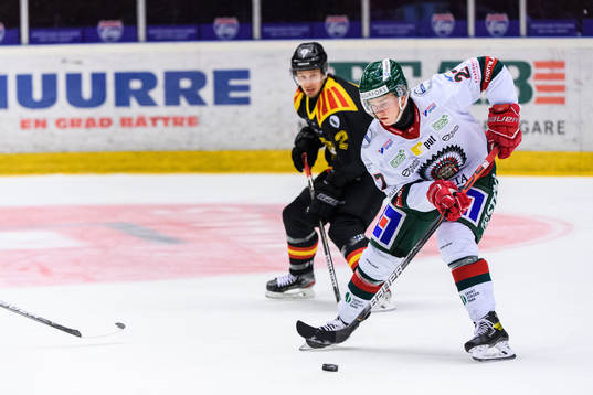 Frölundas Daniel Torgersson