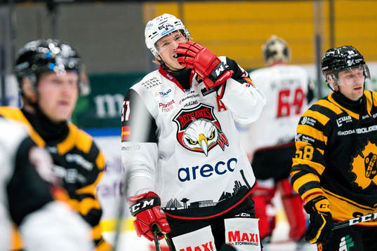 Malmö Redhawks Emil Sylvegård