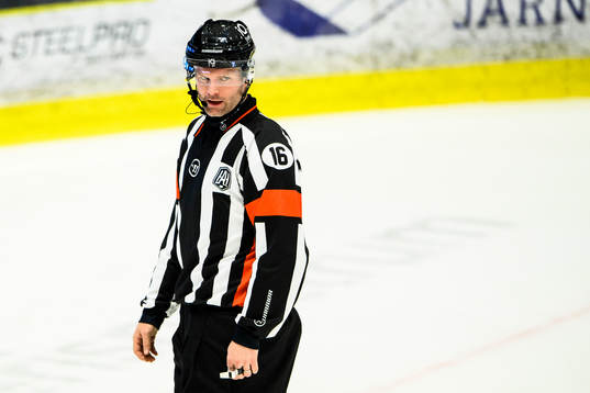 Domare David Bergman