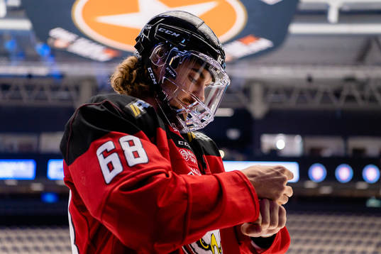 Malmö Redhawks Adam Brodecki