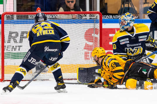 s målvakt Hugo Alnefelt