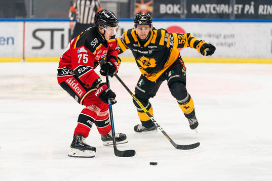 Luleås Arttu Ilomäki och Skellefteås Arvid Lundberg