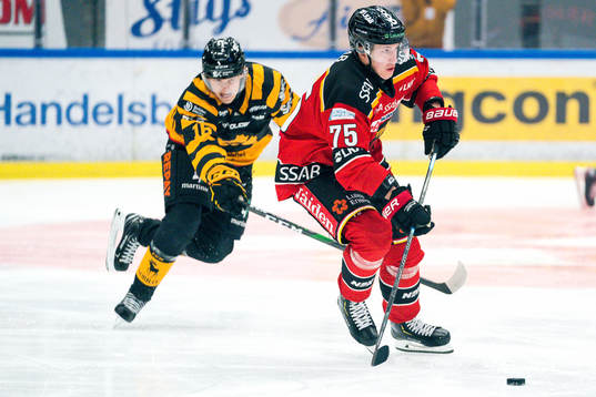 Luleås Arttu Ilomäki och Skellefteås Linus Lindström