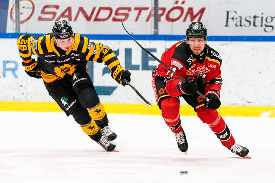 Skellefteås Jesper Frödén och Luleås Petter Emanuelsson