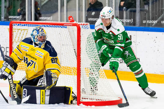 s målvakt Hugo Alnefelt
