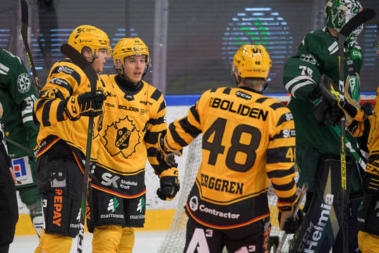 Skellefteås Andreas Wingerli jublar