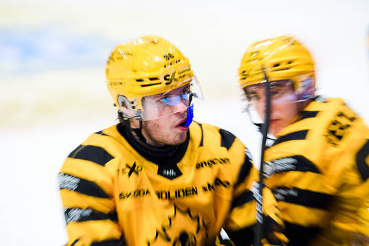 Skellefteås Rickard Hugg