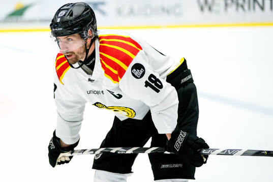 Brynäs Anton Rödin