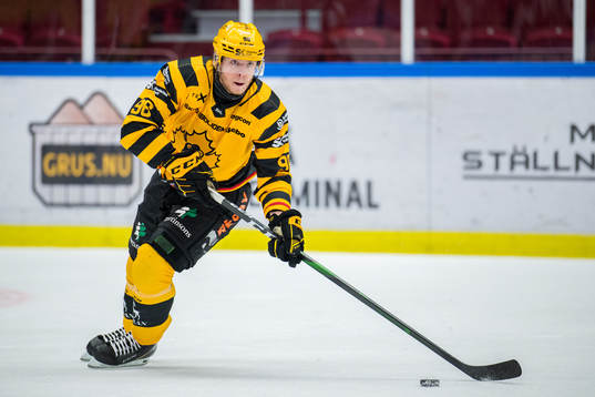 Skellefteås Rickard Hugg