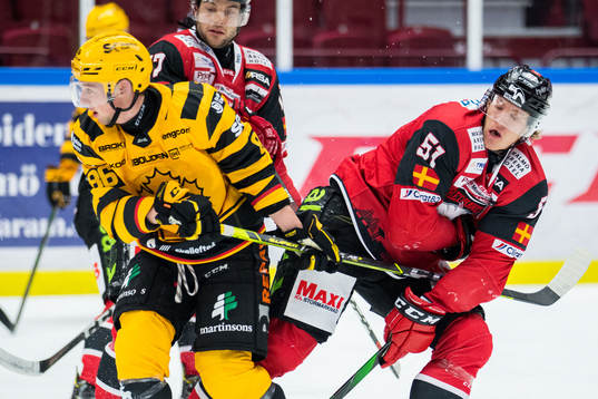 Skellefteås Rickard Hugg och Malmö Redhawks Emil