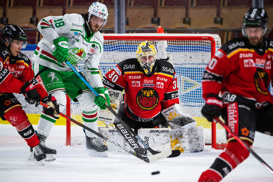 Luleås målvakt David Rautio