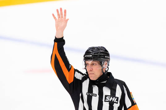 Domare Morgan Johansson