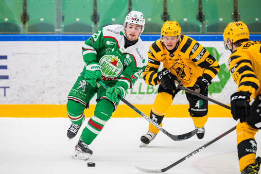 Rögles Nils Höglander och Skellefteås Måns Forsfjäll