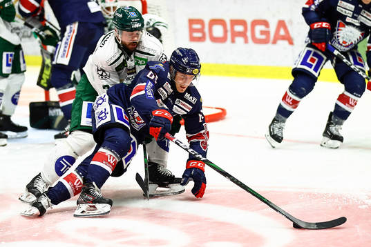 Linköpings Markus Ljungh