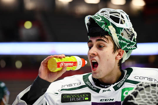 Färjestads målvakt Arvid Holm