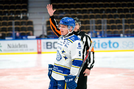 Domare Mikael Andersson och Leksands Patrik Zackrisson