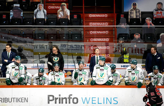 Färjestads assisterande tränare Peter Popovic,