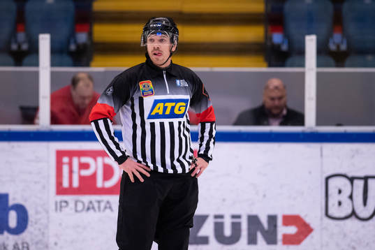 Domare David Gustafsson