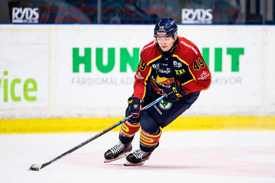 Djurgårdens Rhett Rakhshani