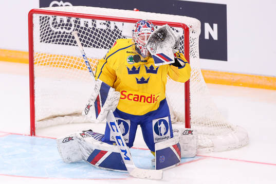 Goalkeeper Magnus Hellberg of Sweden