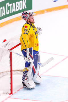 Goalkeeper Magnus Hellberg of Sweden
