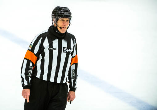 Domare Morgan Johansson