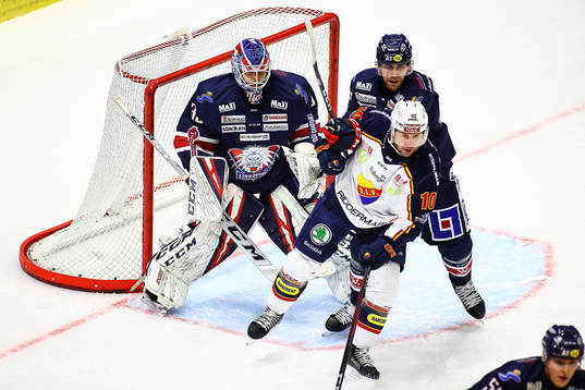 Djurgårdens Niclas Bergfors, Linköpings målvakt Niklas