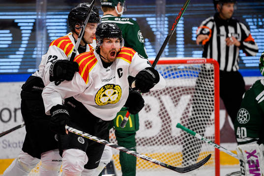 Brynäs Anton Rödin jublar