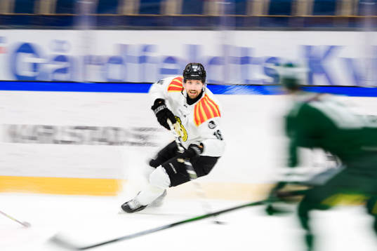 Brynäs Anton Rödin