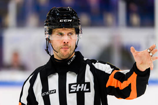 Domare Johan Magnusson