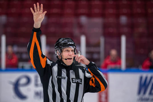 Domare Morgan Johansson