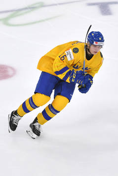 Theodor Niederbach of Sweden skates