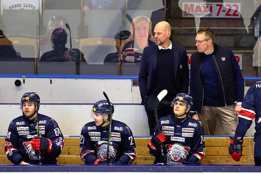 Linköpings assisterande tränare Niclas Hävelid och