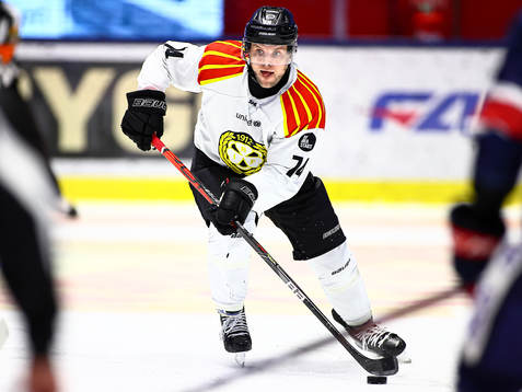 Brynäs Chad Billins
