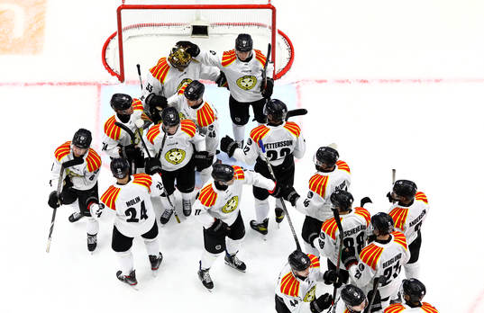 Brynäs spelare jublar och tackar målvakt Samuel Ersson