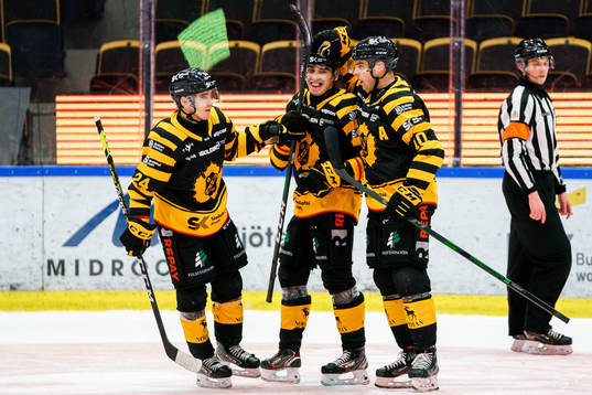 Skellefteås Adam Wilsby jublar med Andreas Wingerli och