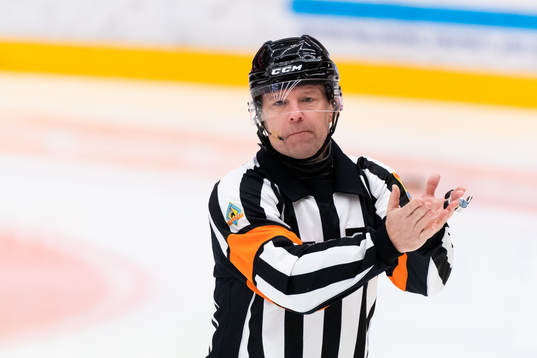 Domare Wolmer Edqvist