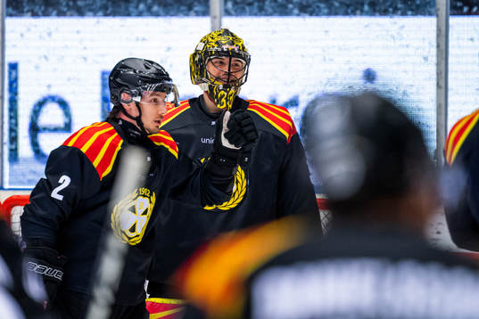 Brynäs målvakt Samuel Ersson jublar