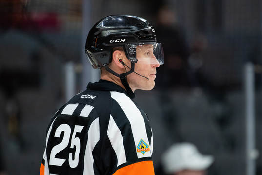 Domare Tobias Björk