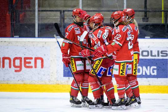 Modos spelare jublar