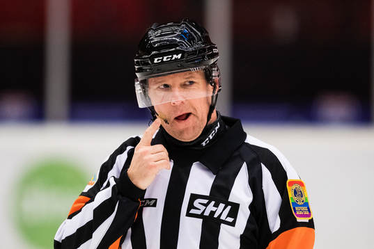 Domare Wolmer Edqvist