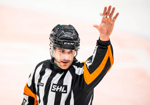 Domare Richard Magnusson