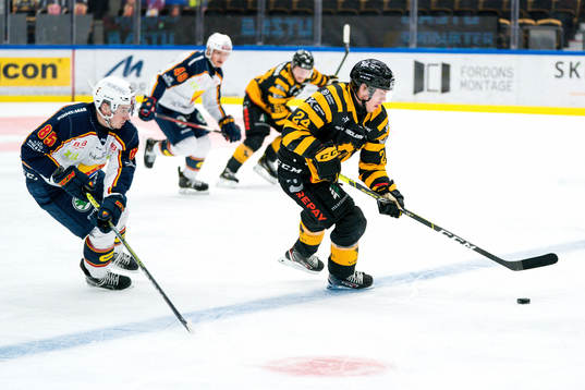 Skellefteås Andreas Wingerli och Djurgårdens Michael Haga